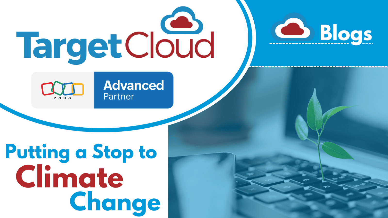 How we are striving to put a stop to Climate Change